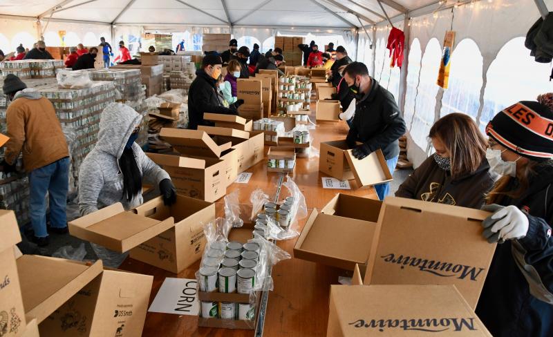 Although it may look like a lot of volunteers, the numbers this year were reduced as they worked in shifts over two days.